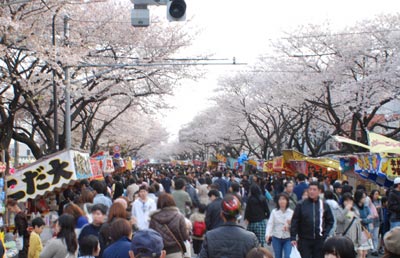 桜まつり