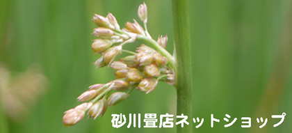 �V���b�v�C���[�W